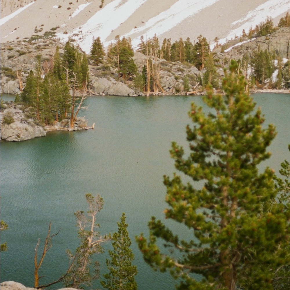 Film photo